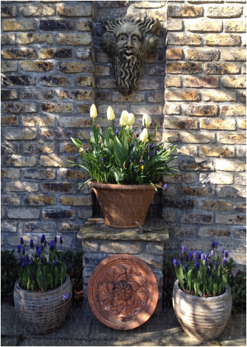 Orwell Garden